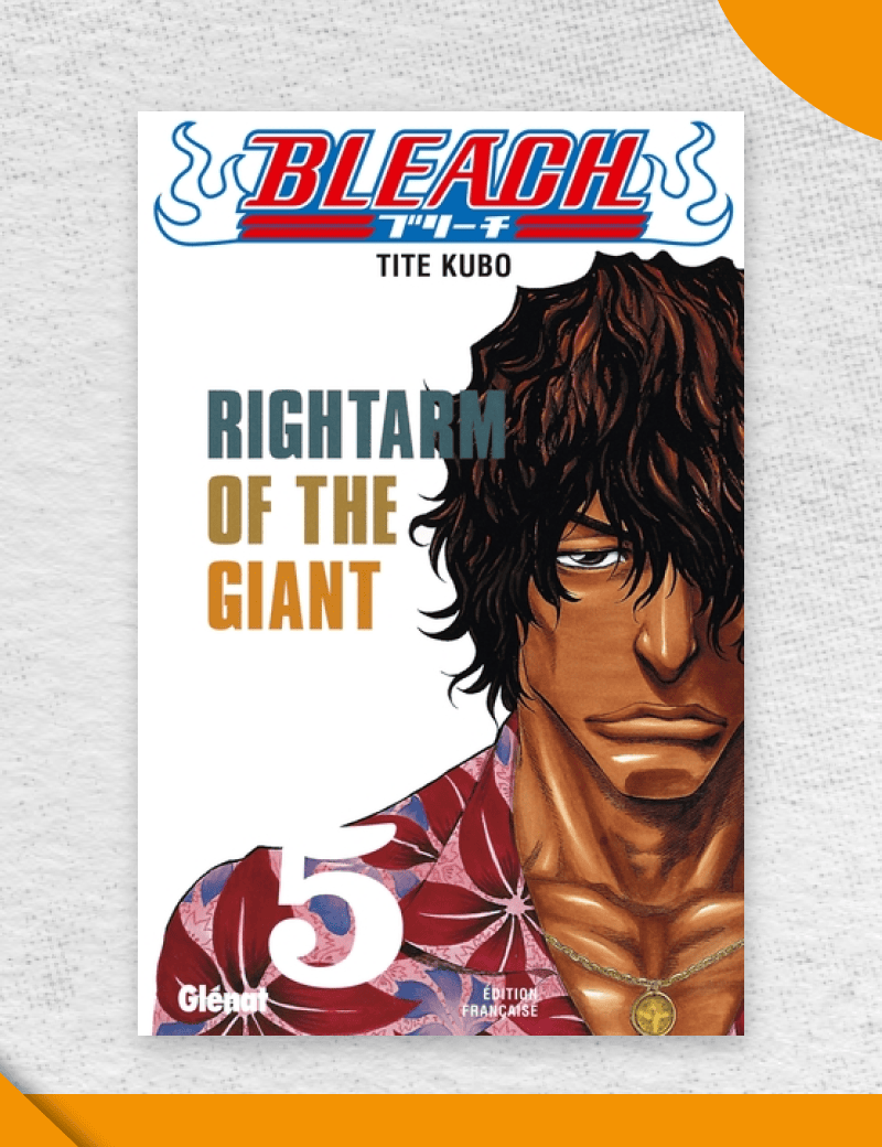 Bleach - Tome 5 (VF)