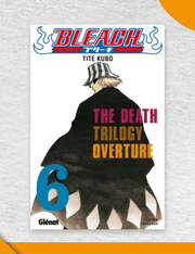 Bleach - Tome 6 (VF)