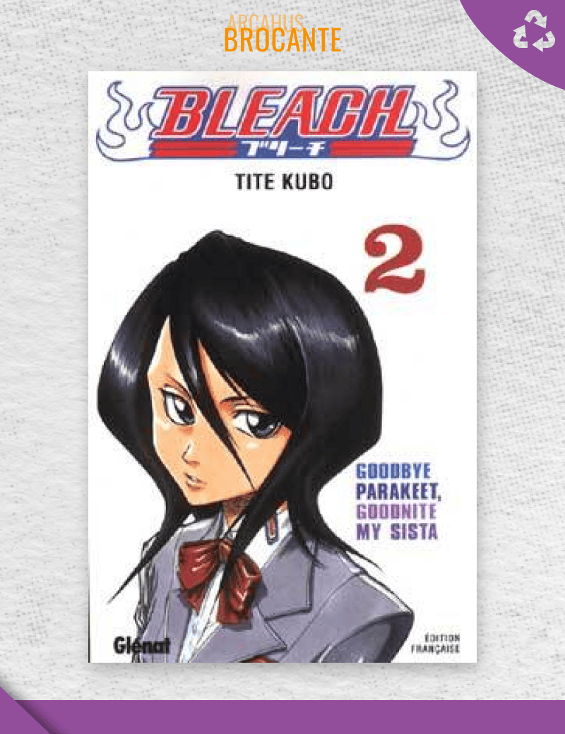 Bleach - Tome 2 (VF)