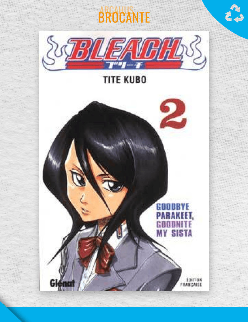 Bleach - Tome 2 (VF)