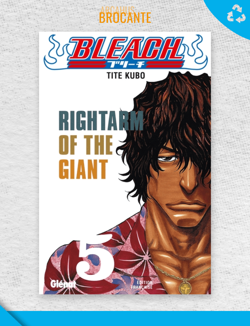 Bleach - Tome 5 (VF)
