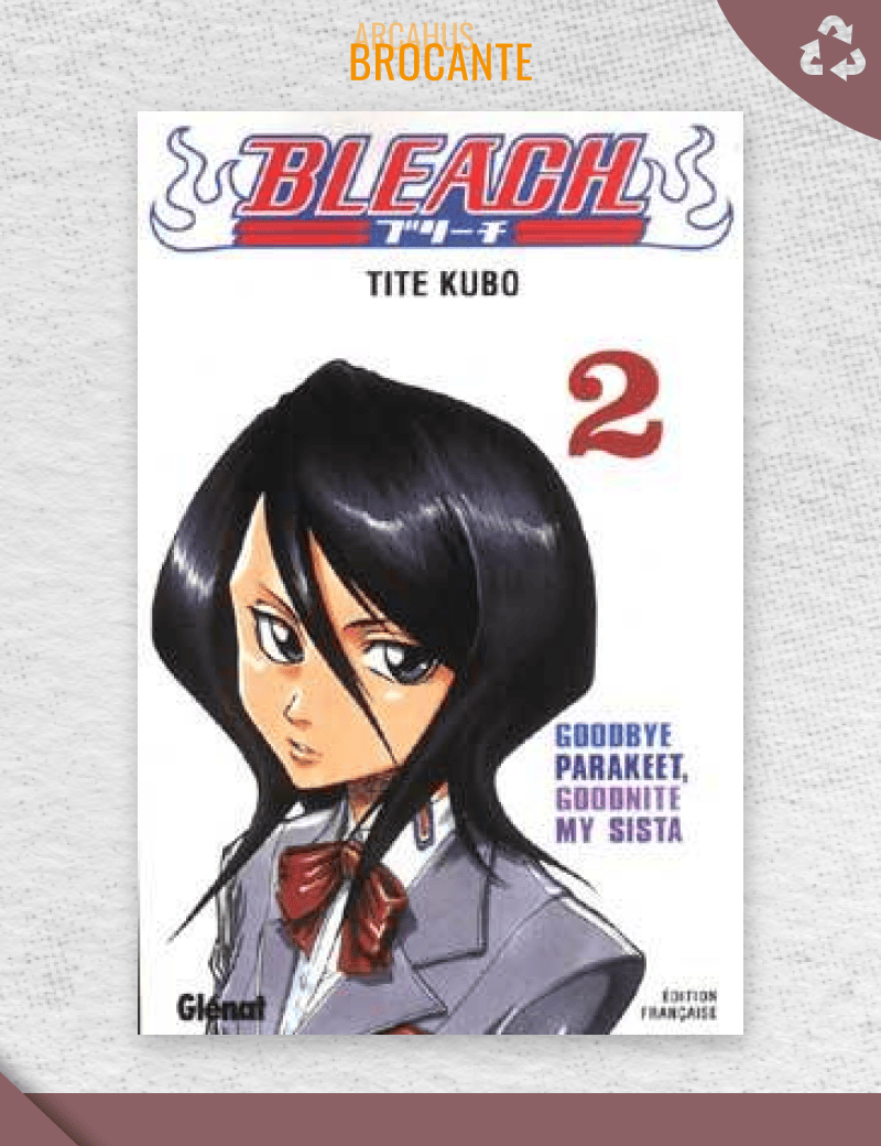Bleach - Tome 2 (VF)