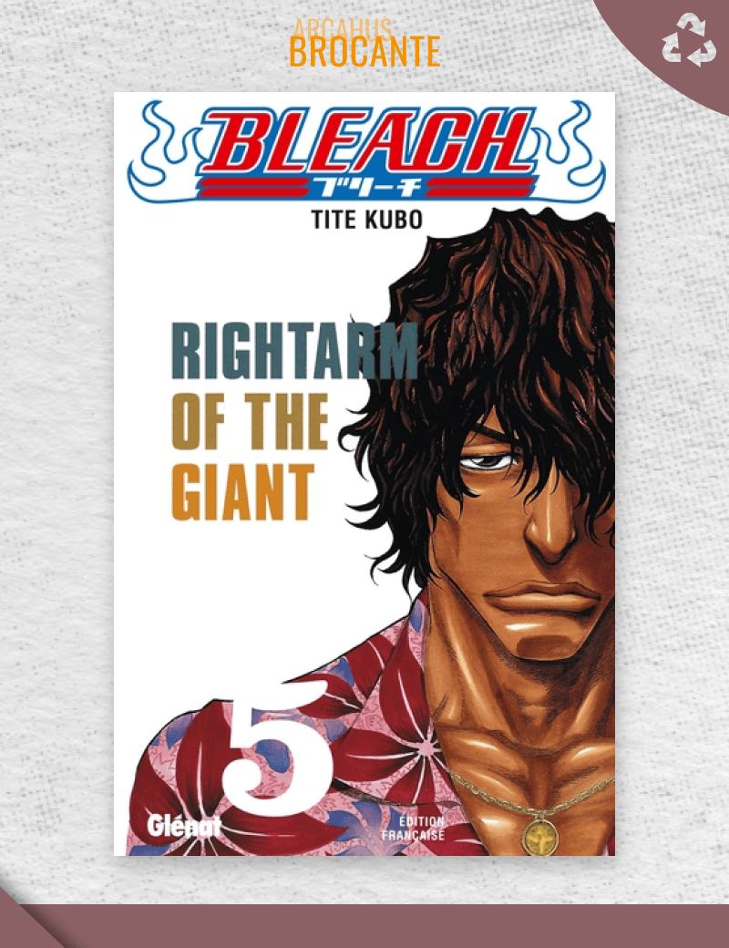 Bleach - Tome 5 (VF)