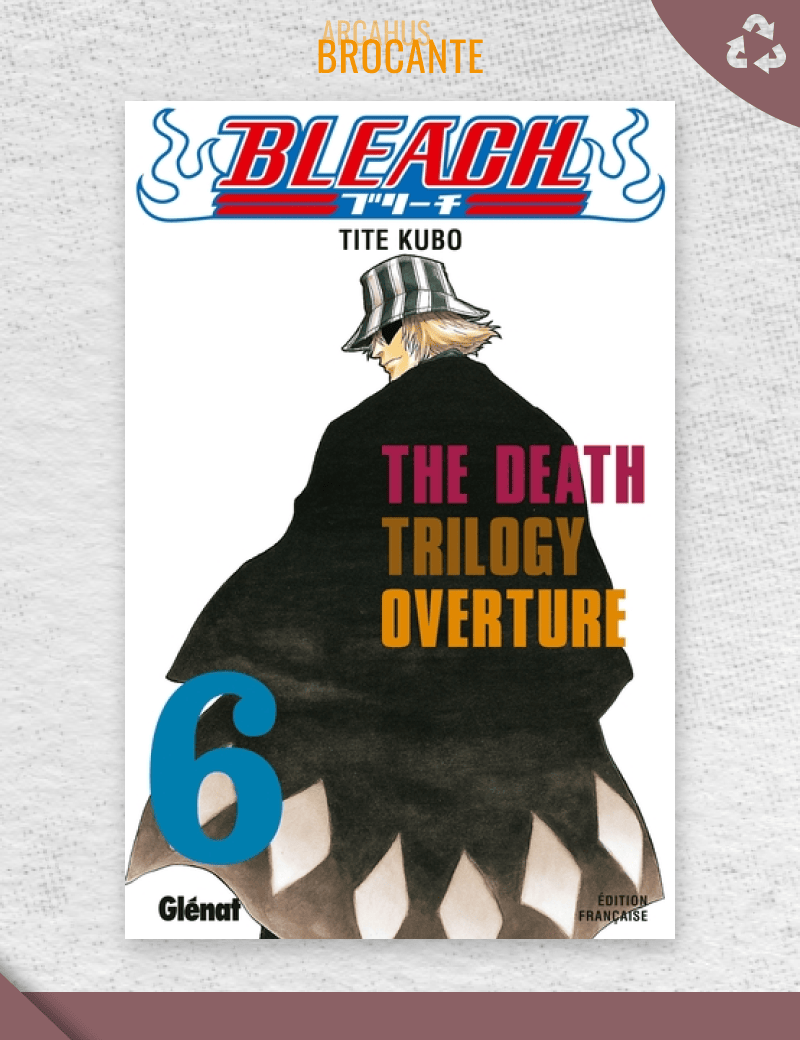 Bleach - Tome 6 (VF)