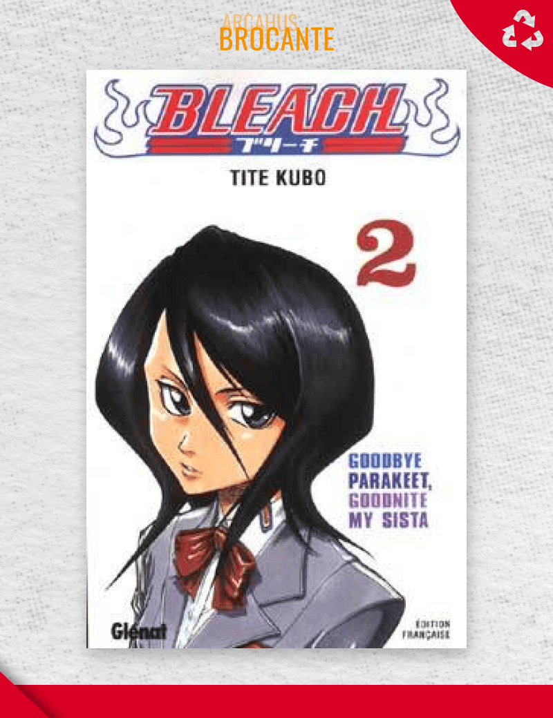 Bleach - Tome 2 (VF)