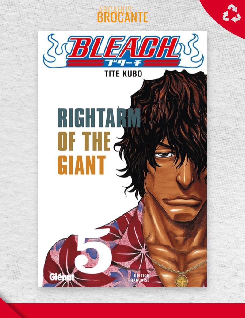 Bleach - Tome 5 (VF)