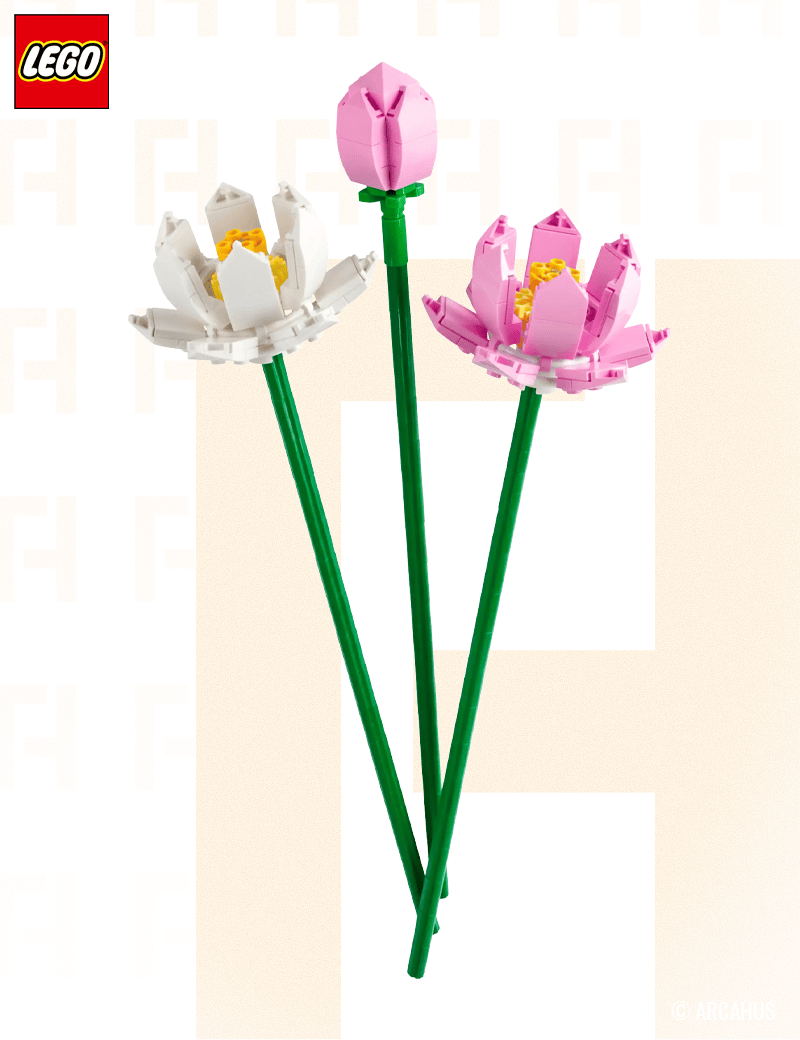 Les fleurs de lotus  - Lego 40647
