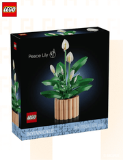 Les fleurs de lune - LEGO® The Botanical Collection 11504