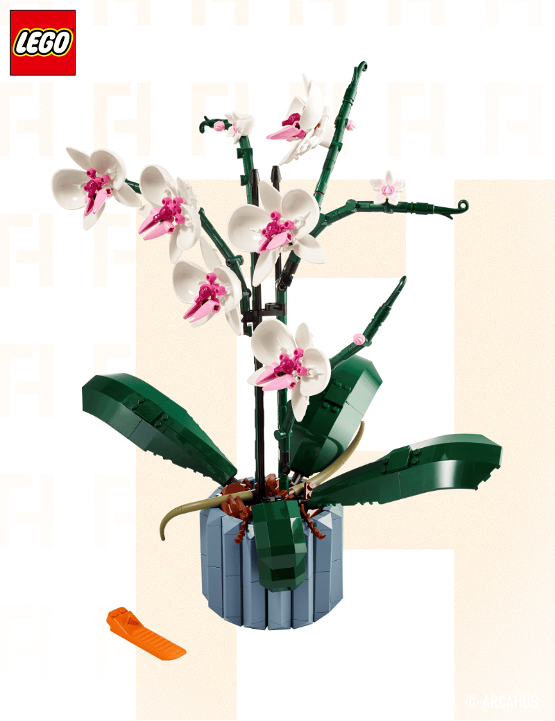 L’orchidée - Lego Botanicals 10311