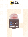 Bloodreaver Flesh - Layer Citadel (12 ML)