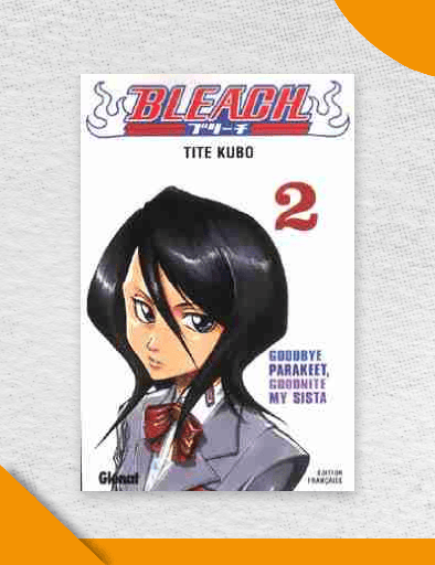 Bleach Tome 2 - Manga VF