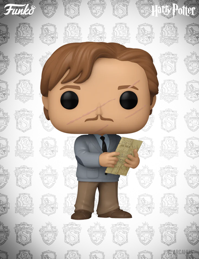 Remus Lupin n° 169 - Figurine Funko POP! Wizarding World Harry Potter